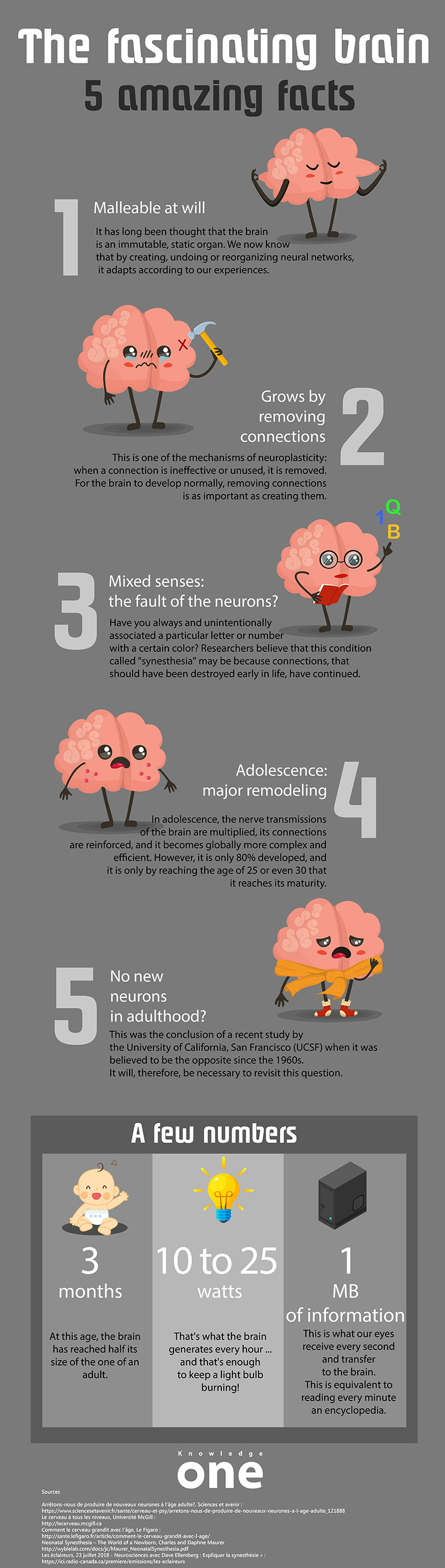 Infographic The Fascinating Brain Amazing Facts Knowledgeone